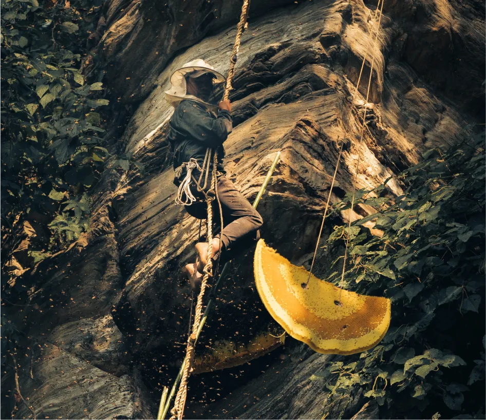 Nepal & Turkey's Liquid Gold