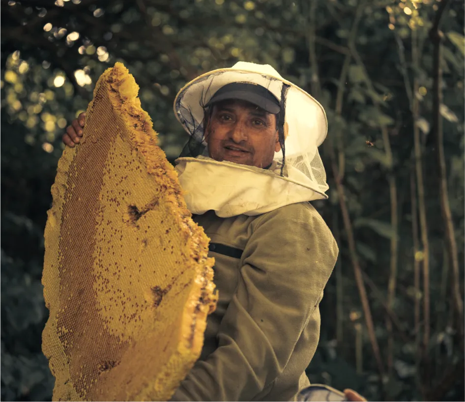 12 Years with Honey Hunters