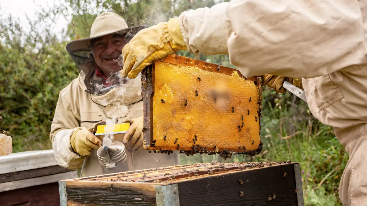 Sustainable Practices in Natural Beekeeping