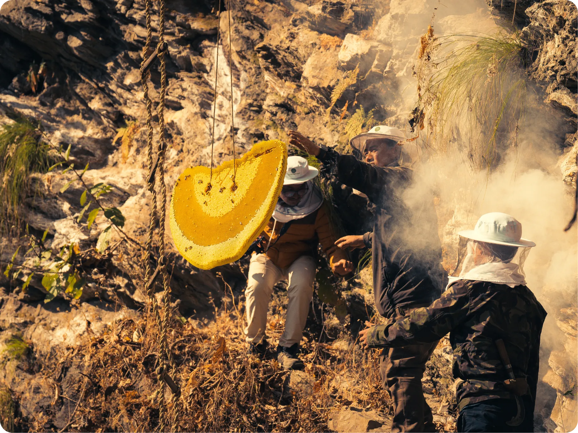 mad honey wholesale